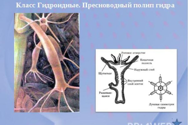 Что такое кракен маркетплейс